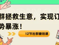 12节社群赚钱课：借社群之力，实现生意逆势增长