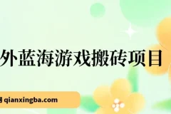 海外游戏搬砖副业项目，单机日入可观，小白轻松上手