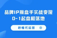《秒懂代运营：品牌IP操盘手实战变现课程》