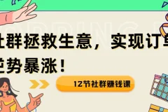 12节社群赚钱课：借社群之力，实现生意逆势增长