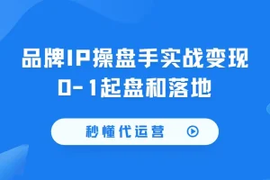 《秒懂代运营：品牌IP操盘手实战变现课程》
