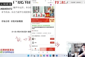 纪主任拼多多爆款运营实战课：0到1打造高利润店铺