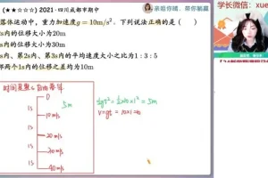2024林婉晴高一物理秋季尖端系统课（含追及相遇/牛顿定律/曲线运动）