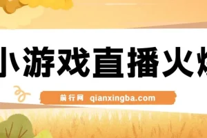 视频号直播小游戏新赛道，日入500+，操作简易适合小白