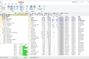 TreeSize Pro磁盘分析工具：高效空间管理软件