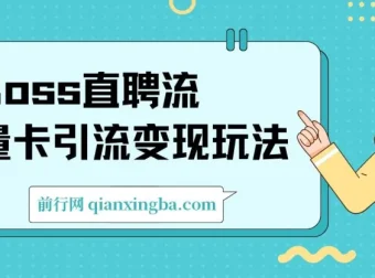 Boss直聘流量卡引流变现课程：日引200+创业粉