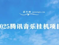 腾讯音乐挂机项目：全新玩法与独家技术