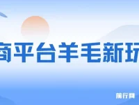 电商平台羊毛玩法课程：全天可操作，上手简单