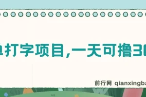 简单打字项目课程：新手可上手的零撸项目