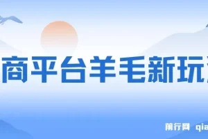 电商平台羊毛玩法课程：全天可操作，上手简单