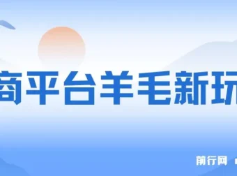 电商平台羊毛玩法课程：全天可操作，上手简单