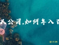 不上班开一人公司年入百万指南