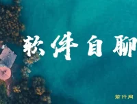 软件自聊赚钱项目介绍