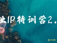 创业IP特训营2.0：IP合伙人掘金计划