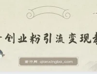 抖音创业粉引流卖课教程