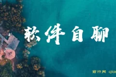 软件自聊赚钱项目介绍