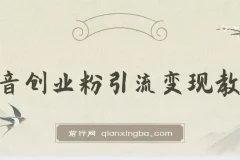 抖音创业粉引流卖课教程