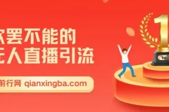 无人直播引流：日引1000+精准创业粉玩法