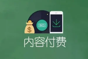 大V知识星球及公众号等付费内容合集