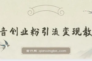 抖音创业粉引流卖课教程