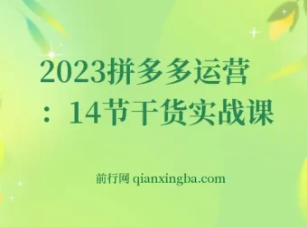 拼多多运营14节干货实战课