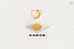 2025高考生物基因工程、跨膜运输与细胞呼吸专题精讲