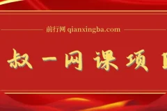 狼叔网课项目：引流变现综合课程