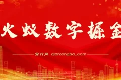 火蚁数字掘金：数字项目实操资源