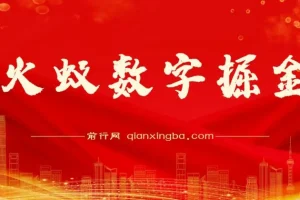 火蚁数字掘金：数字项目实操资源