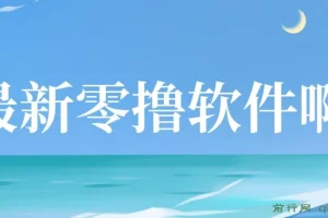 零撸软件项目揭秘：单机日收益可观，手机操作便捷