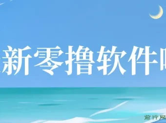 零撸软件项目揭秘：单机日收益可观，手机操作便捷