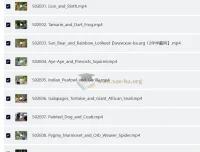 BBC儿童英文节目《Go Wild》：户外自然科普佳作