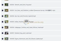 BBC儿童英文节目《Go Wild》：户外自然科普佳作