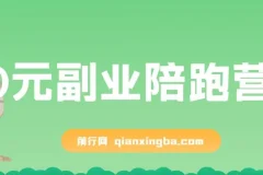 0元副业陪跑营：即梦、醒图、网盘与小说推文免费指导