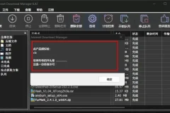 Internet Download Manager（IDM）官方最新版永久激活工具与绿色版