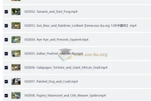 BBC儿童英文节目《Go Wild》：户外自然科普佳作