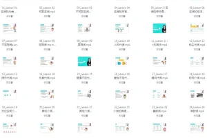雪梨老师中高级英语语法课：72节系统课程