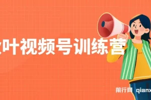 秋叶视频号训练营：掌握视频号运营技巧