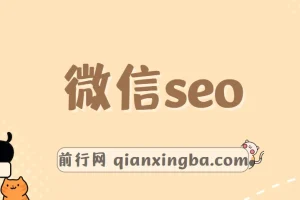 秦志刚微信SEO课程