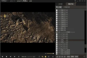 PotPlayer 去广告绿色版：免费全能影音播放器