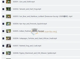 BBC儿童英文节目《Go Wild》：户外自然科普佳作