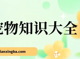 宠物知识大全课程：小众蓝海项目