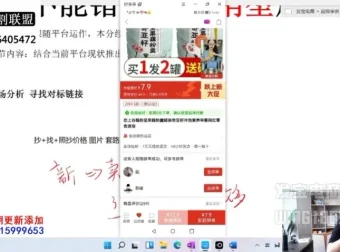 纪主任亲授拼多多爆款运营实战课：市场分析与流量提升