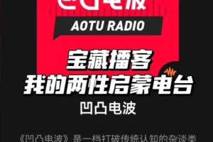 凹凸电波播客节目付费合集