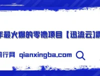 零撸项目迅流云：手机连WiFi自动挂机收益