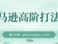 亚马逊高阶打法视频课程