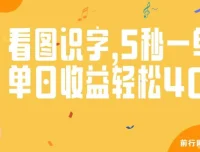 验证码录入与看图识字项目：轻松兼职，单日收益可观