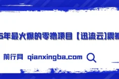 零撸项目迅流云：手机连WiFi自动挂机收益