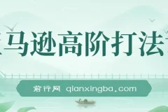 亚马逊高阶打法视频课程