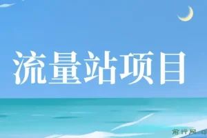 张子豪流量站项目课程